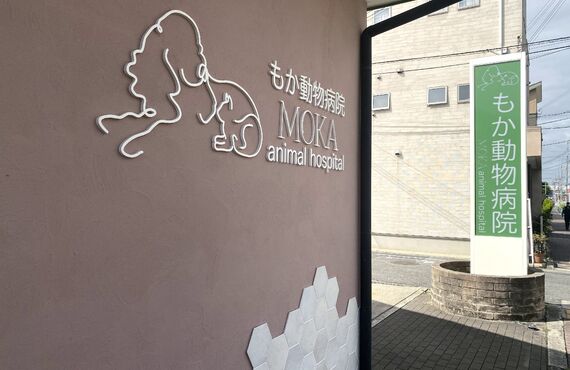 フィラリアの予防薬接種をお考えなら泉大津のもか動物病院へご相談ください